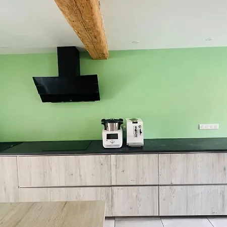 Maison De Renaud 埃圭斯海姆